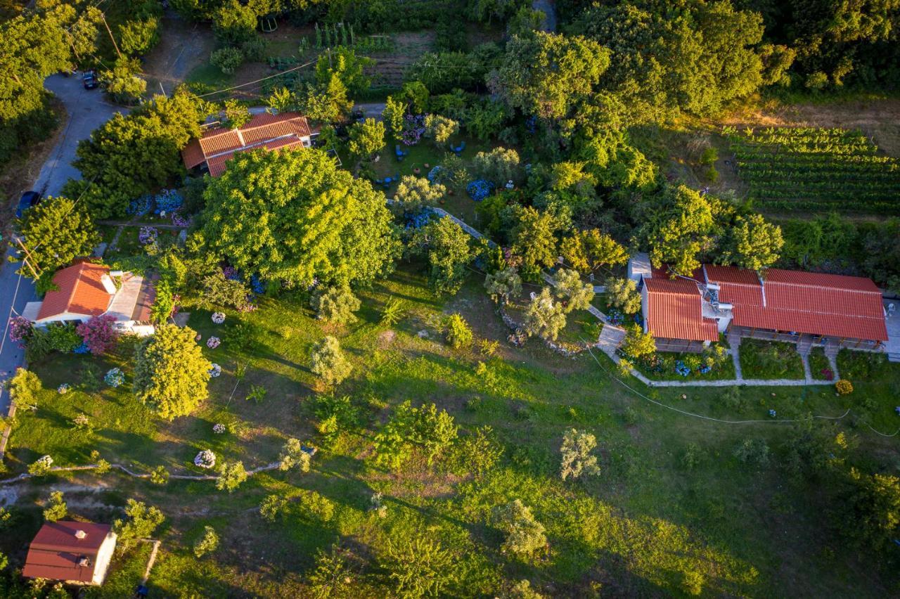 Alekas Studios Therma  Esterno foto